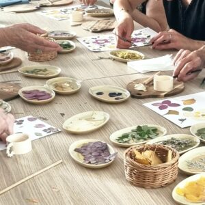 Atelier "Primevère" - Herbier de fleurs pressées
