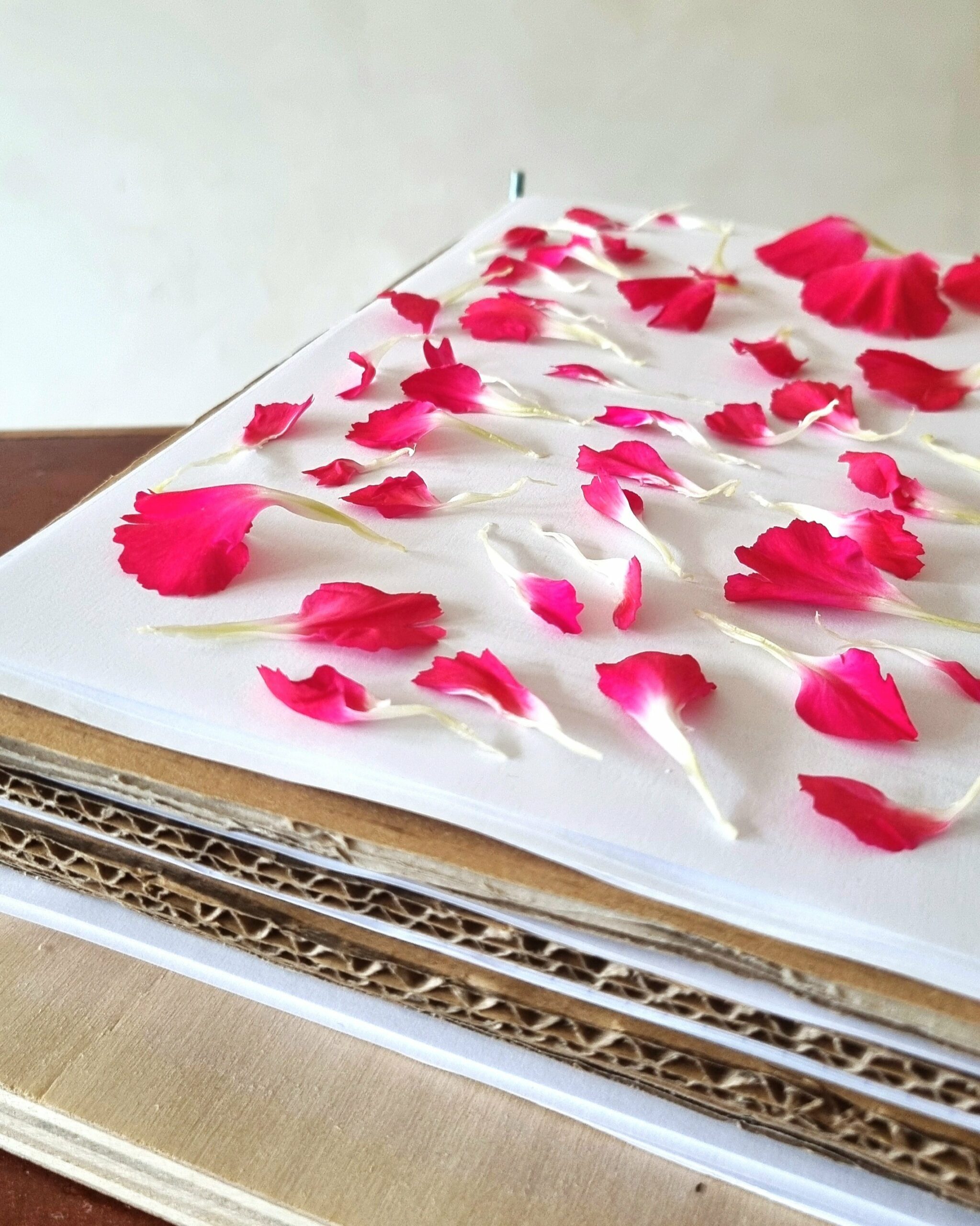 Herbier de mariage – Image 3